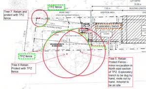 Tree Protection design